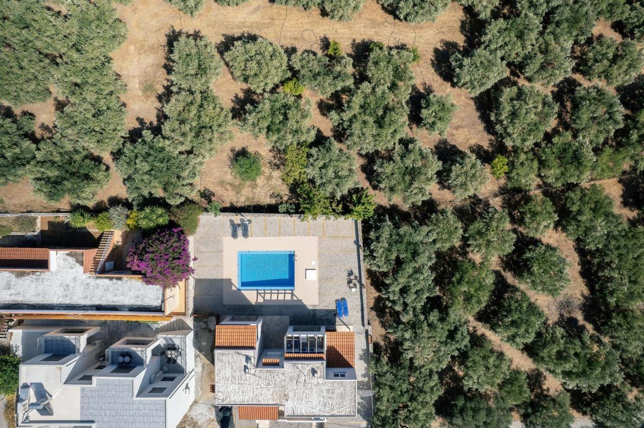 Greek Sky - New Modern Apartment With Shared Pool Tavronitis Exterior foto